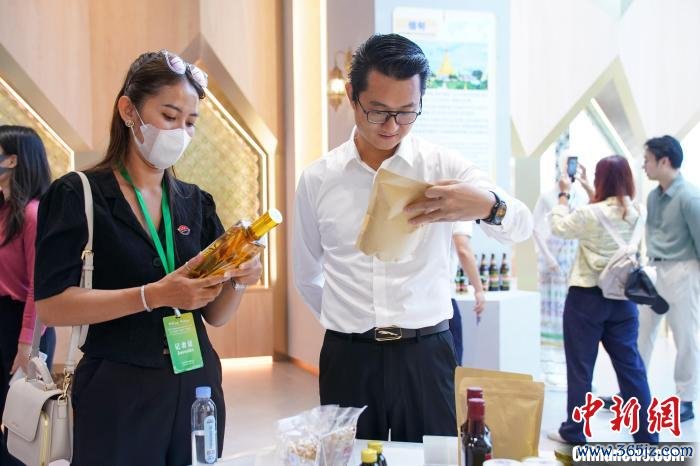 外媒代表参观中国—东盟特色商品汇聚中心